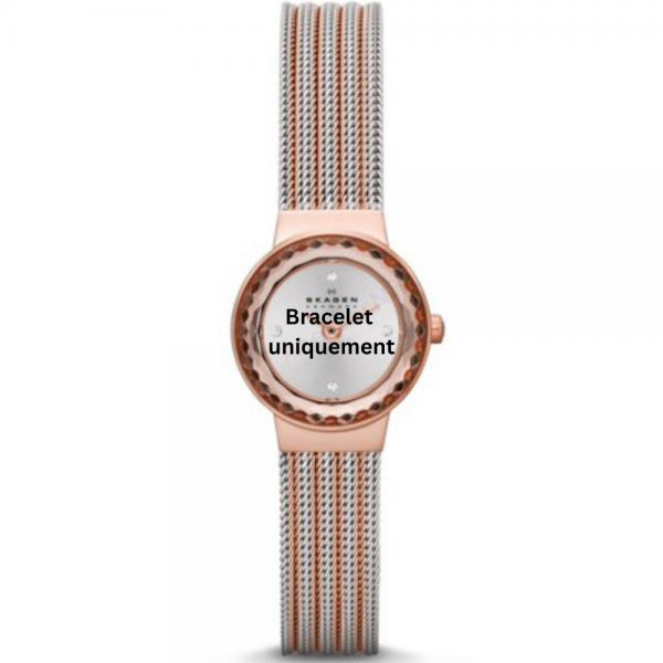 Bracelet métal bicolor rose Skagen - LEONORA XSMALL / SKW2246-Bracelet de montre-AtelierNet