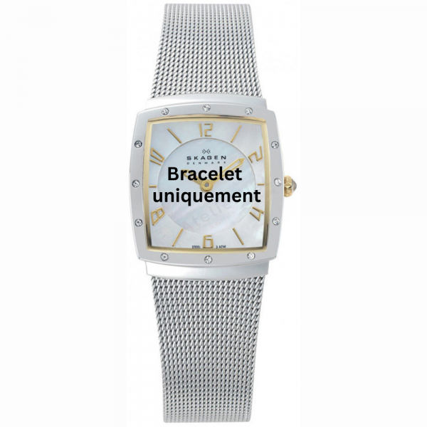 Bracelet métal argent Skagen - 396 EXTRA SMALL / 396XSGS-Bracelet de montre-AtelierNet